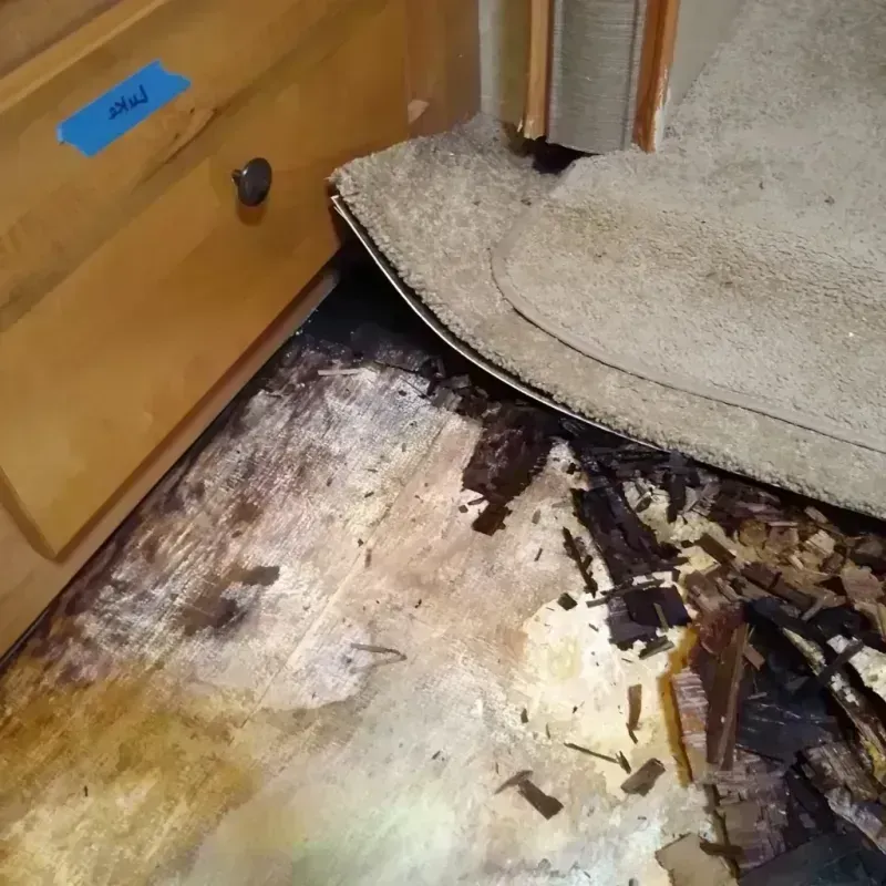 Best Wood Floor Water Damage Service in Lagrange, OH